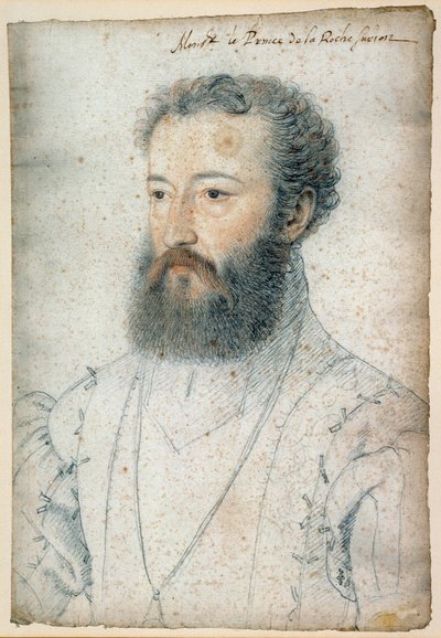 Portrait de Charles de Bourbon, prince de La Roche-sur-Yon (1515-1565). Dessin à la sanguine et pierre noire par François Clouet (1515-1572) - François Clouet