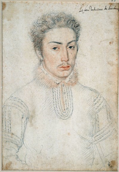 Portrait de François de Vendôme, vidame de Chartres - François Clouet