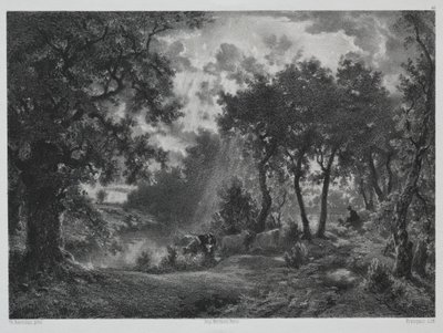Après la pluie - Francois Louis Francais