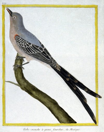 Mouches - Francois Nicolas Martinet