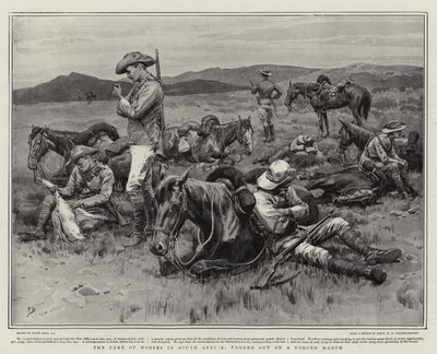 Le soin des chevaux en Afrique du Sud, épuisés après une marche forcée - Frank Dadd
