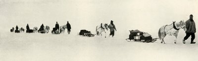 Poneys en marche, 1911, 1913 - Frank Debenham