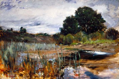  - Frank Duveneck