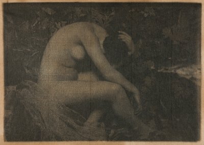 La Cigale - Frank Eugene