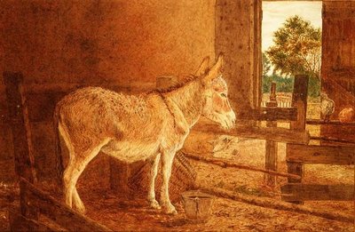 Une étude brune - Frank Goodwin