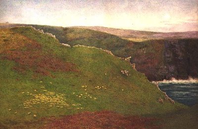 Vue sur la côte de Cornouailles - Frank Goodwin