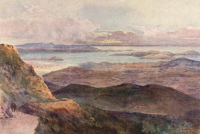Nouvelle-Zélande : Coromandel - Frank H Wright