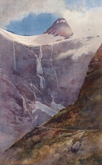 Nouvelle-Zélande : Sur le col de M