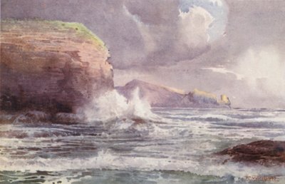 Nouvelle-Zélande : Te-Wenga - Frank H Wright