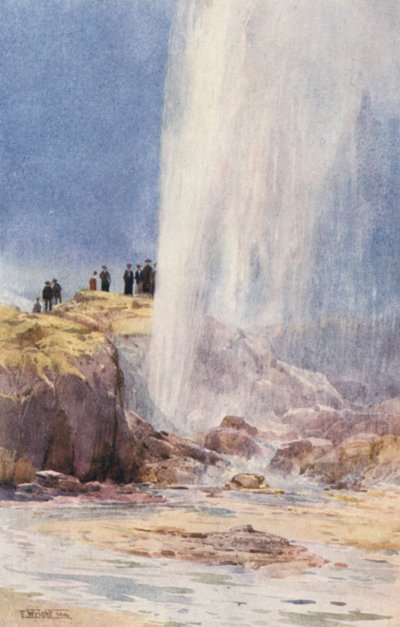 Nouvelle-Zélande : Geyser de Wairoa - Frank H Wright