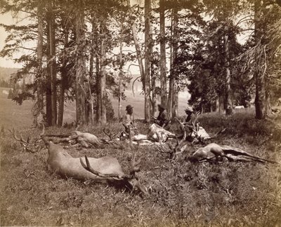 Chasseurs d
