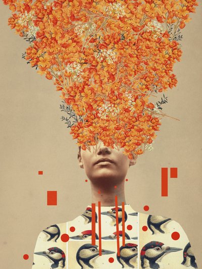  - Frank Moth