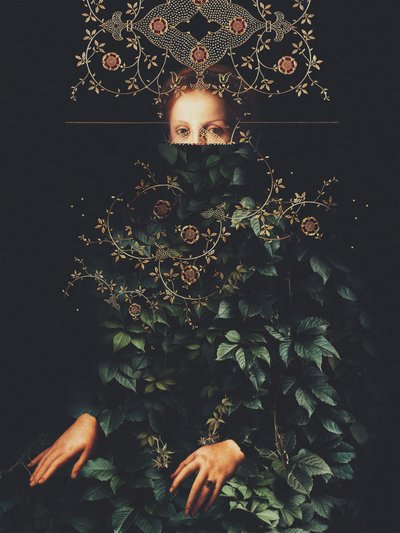  - Frank Moth