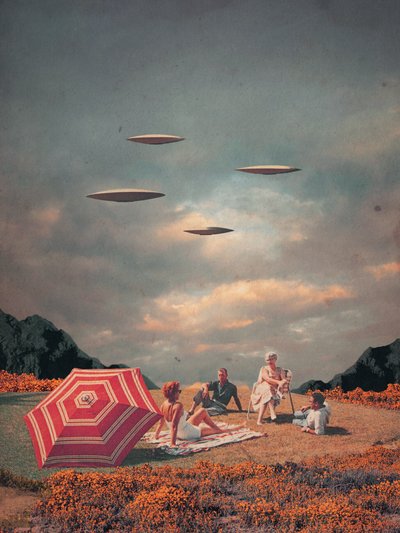  - Frank Moth