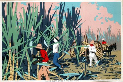 Récolte de cannes à sucre aux Antilles - Frank Newbould