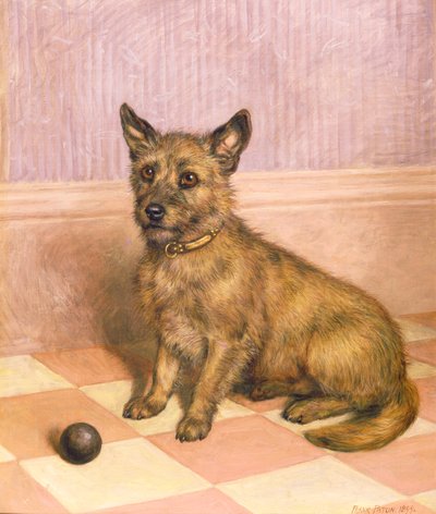 En attente de jouer, un cairn terrier avec une balle - Frank Paton