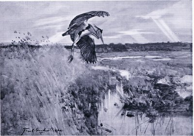 Jack Harnser-Heron - Frank Southgate