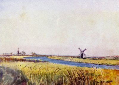 Norfolk Broads: Au-dessus de St Olaves - Frank Southgate