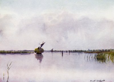 Norfolk Broads : Bateau de foin sur Hickling Broad - Frank Southgate