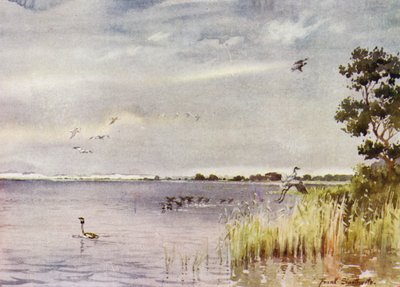 Norfolk Broads : Horsey Mere - Frank Southgate