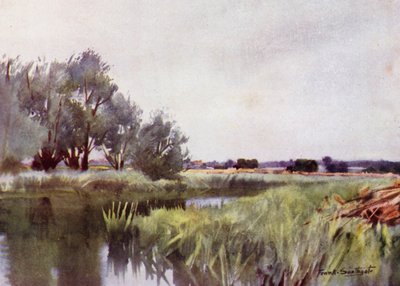 Norfolk Broads : Foin des marais - Transport sur la Yare - Frank Southgate