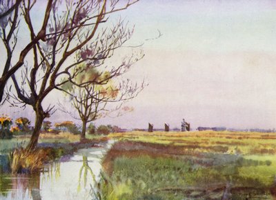 Norfolk Broads : Marais près de Barton - Frank Southgate