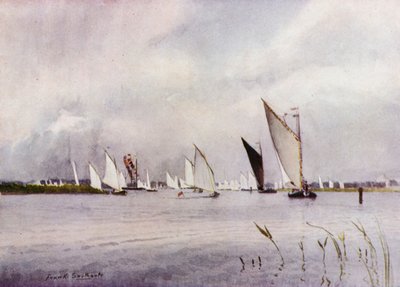 Norfolk Broads : Régate à Hickling - Frank Southgate