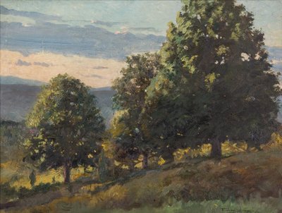 Paysage - Frank Von der Lancken