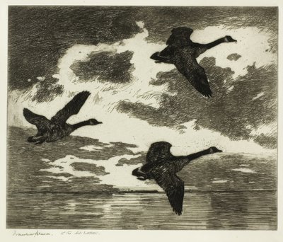 Matin nuageux - Frank Weston Benson