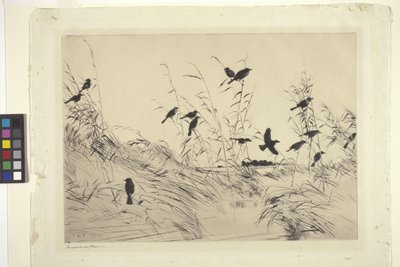 Merles Et Joncs - Frank Weston Benson