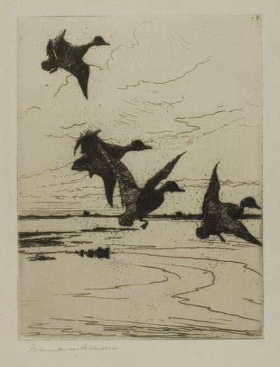 Canards atterrissant - Frank Weston Benson