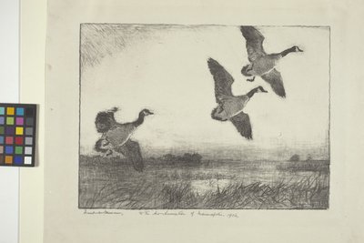 Trois oies - Frank Weston Benson