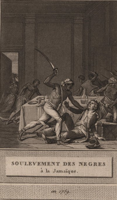 Soulèvement des esclaves noirs en Jamaïque en 1760 - François Anne David