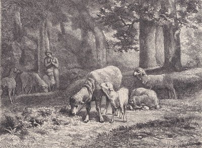 Les Moutons, du Magasin Pittoresque - François Rouget