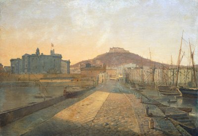 Vue de la Chartreuse de San Martino et de la forteresse de Sant