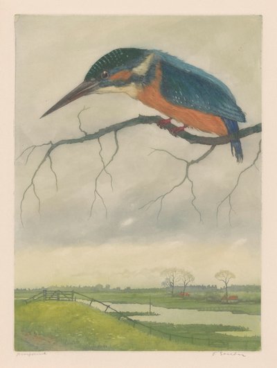 Martin-pêcheur sur une branche dans un paysage de prairie - Frans Everbag (signed by artist)
