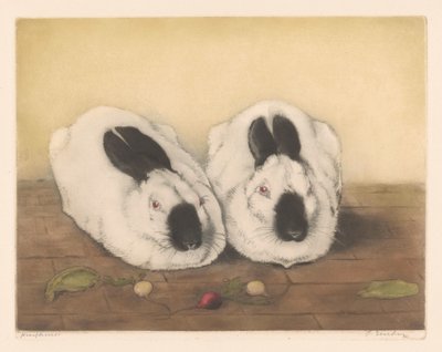 Deux lapins himalayens - Frans Everbag (signed by artist)