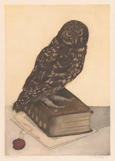 Hibou assis sur un livre - Frans Everbag (signed by artist)
