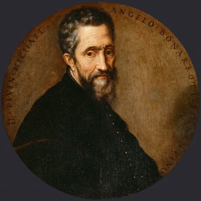 Michelangelo Buonarroti dit Michel-Ange - Frans Floris
