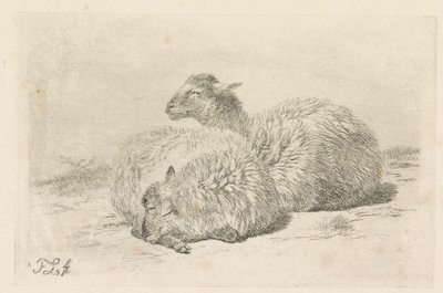 Deux moutons couchés - Frans Lebret