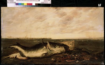 Poisson et homard sur la plage - Frans Ryckhals