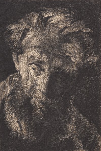 Vieil homme barbu regardant de côté - Frans Schwartz
