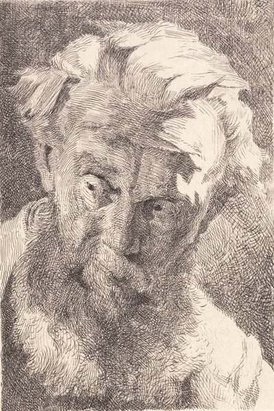 Vieil homme barbu regardant de côté - Frans Schwartz