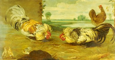 Un combat de coqs - Frans Snyders or Snijders