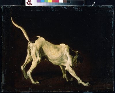 Chien - Frans Snyders or Snijders