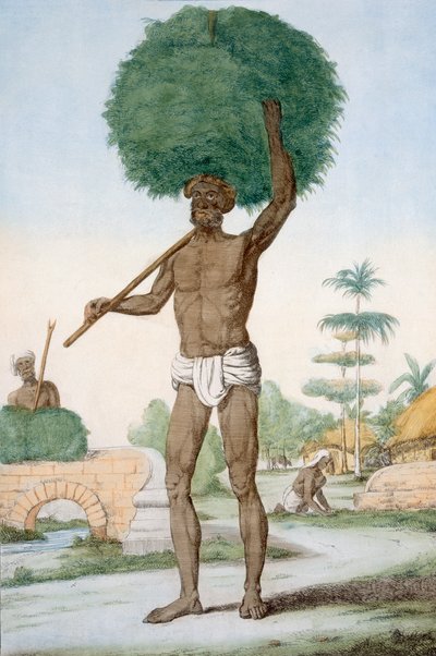Serviteur hindou coupant de l