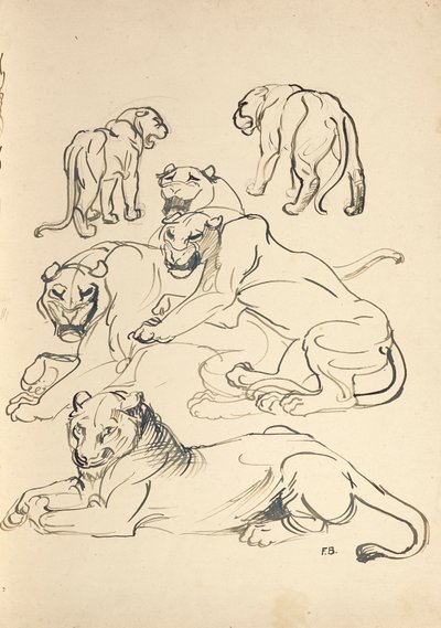 Six pumas - Franz Barwig d. Ä.