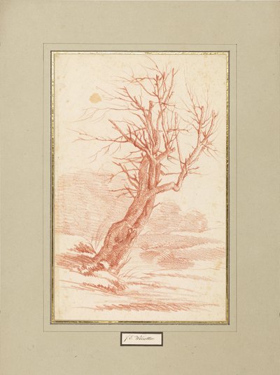 Étude sur les arbres - Franz Edmund Weirotter