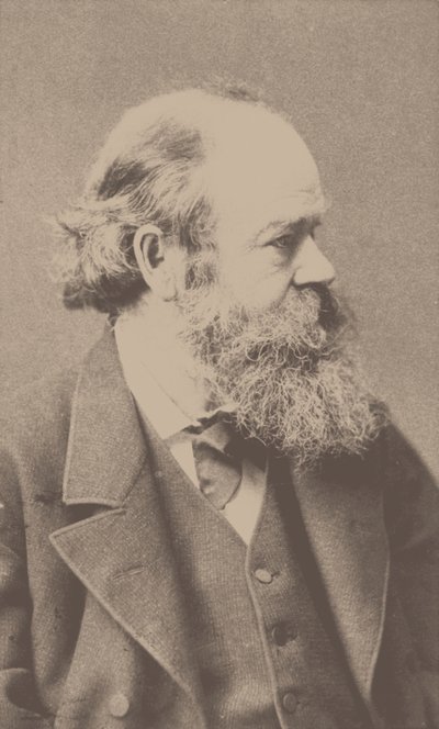 Portrait du compositeur Robert von Hornstein, 1833-1890 - Franz Hanfstaengl