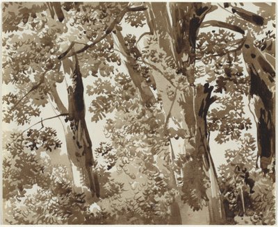 Arbres avec sous-bois dense - Franz Innocenz Josef Kobell